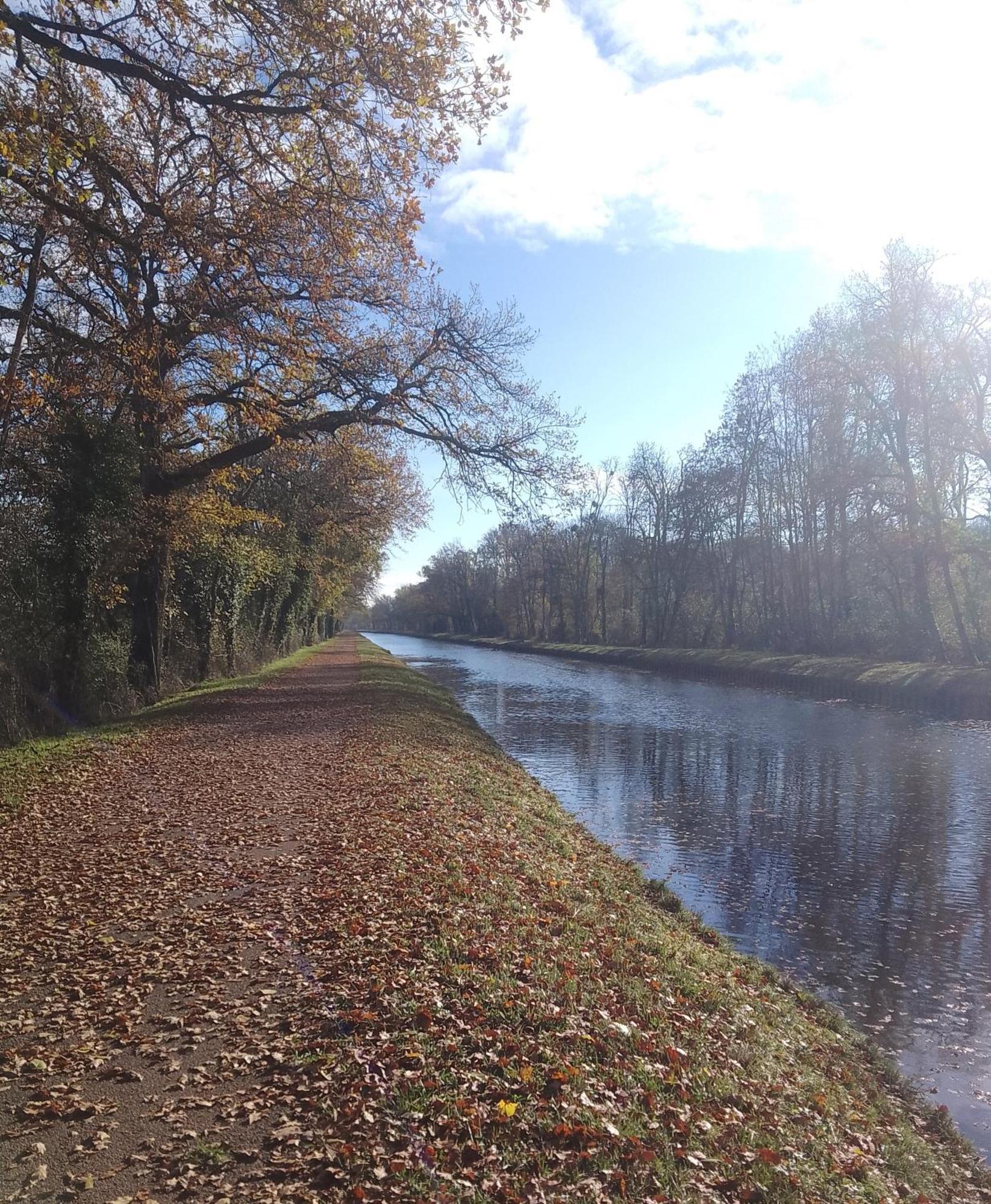 La Halte Du Canal Luthenay-Uxeloup Kültér fotó